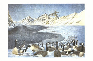'Overflight'. Canada Goose Wildlife Print with Royal story. Signed. Numbered by AG Tony Chelsom Original presented to HRH The Prince Philip